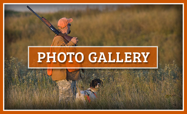 PheasantLand Lodge Photo Galleries