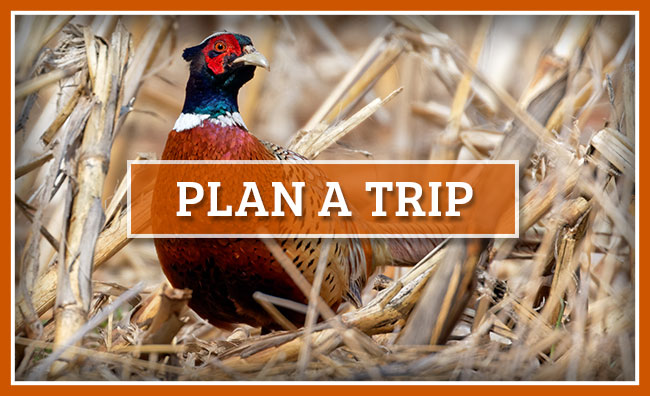 Plan a Trip with PheasantLand Lodge